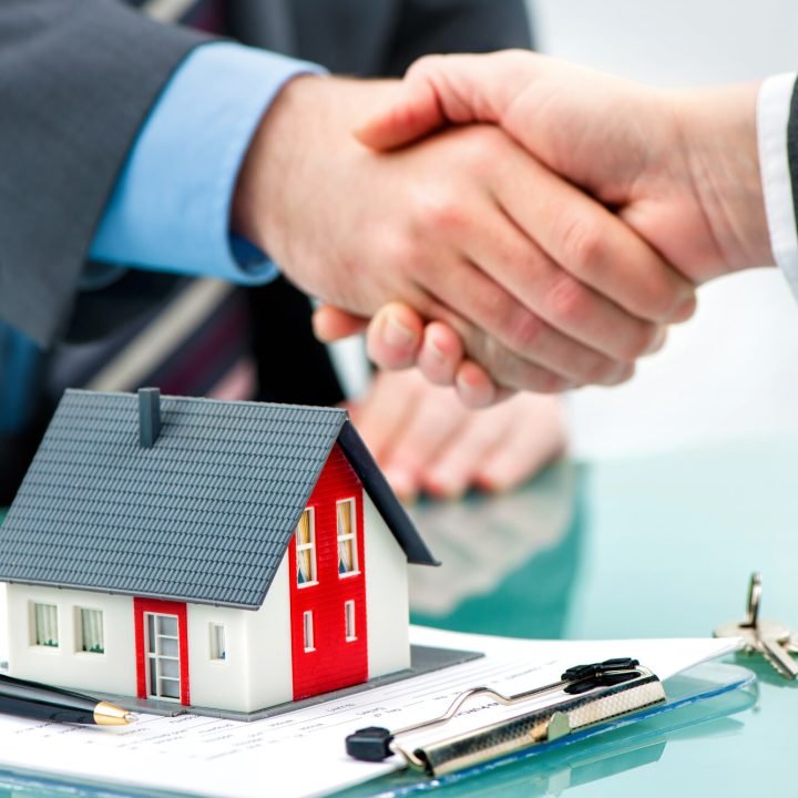 Property Development Agent Services