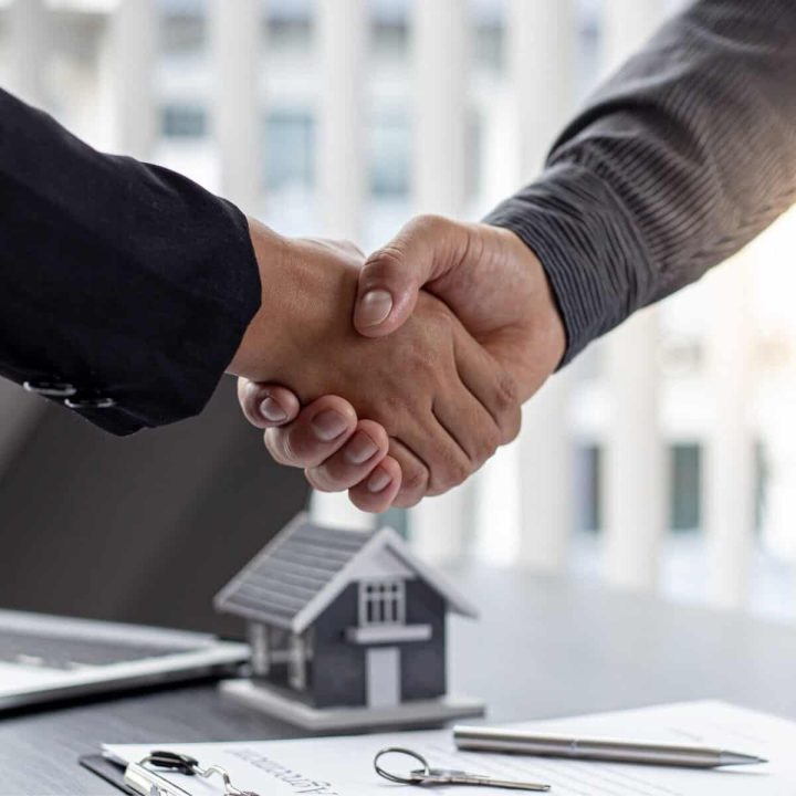 Property Development Agent Services