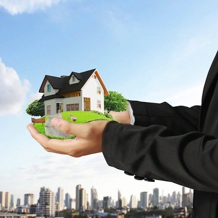 Property Development Services
